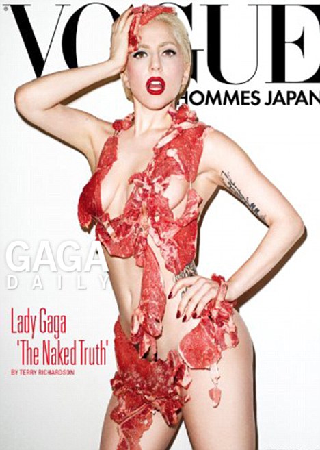 Lady Gaga Vogue Magazine Meat Dress Cover